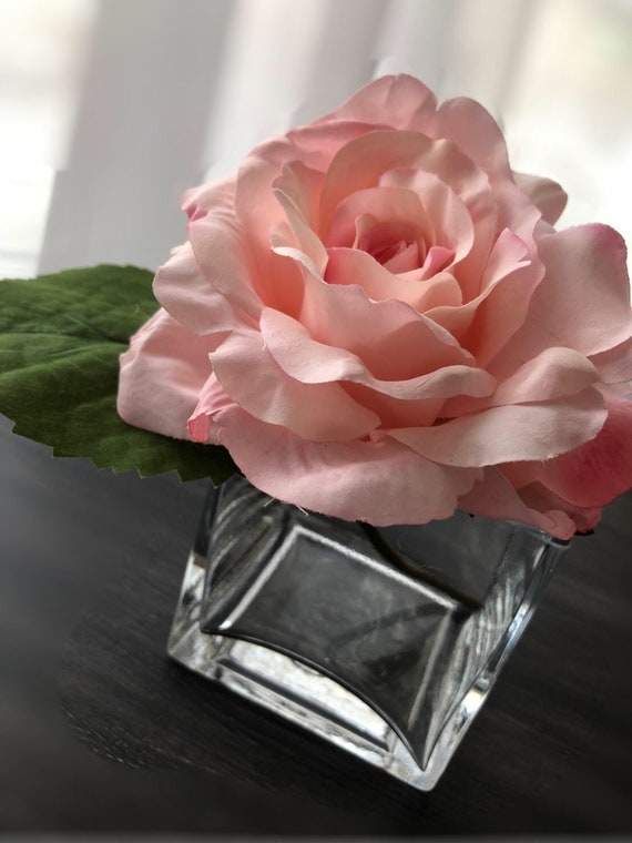 Single Rose With Square Vase Etsy