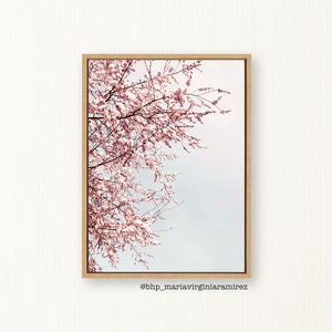 Japanese Cherry Blossom Tree photography, Cherry Blossom pink flower large print, Bohemian and Scandinavian Wall Art Décor INSTAND DOWNLOAD
