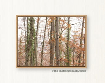 Herbst Baum Farben Fotografie,Schweizer Herbst Landschaft, druckbare Wandkunst,Moderner Digitaldruck,Skandinavische Wandkunst SOFORT DOWNLOAD