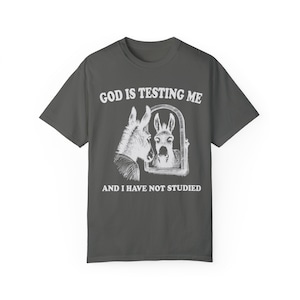 God is Testing Me Shirt Donkey Shirt Meme Shirt Gen Z Shirt Weirdcore Shirt Vintage Graphic Tee Street Cats Funny Shirts