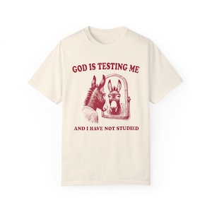 God is Testing Me Shirt Donkey Shirt Meme Shirt Gen Z Shirt Weirdcore Shirt Vintage Graphic Tee Street Cats Funny Shirts