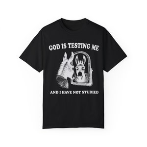 God is Testing Me Shirt Donkey Shirt Meme Shirt Gen Z Shirt Weirdcore Shirt Vintage Graphic Tee Street Cats Funny Shirts