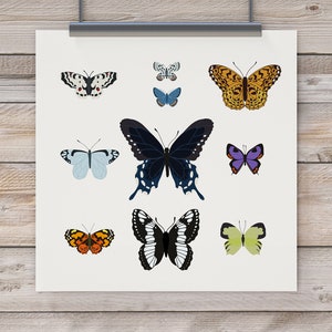 May include: A white sheet of paper with nine different butterfly illustrations. The butterflies are in various colors, including blue, purple, orange, black, and white. The butterflies are all in different positions, some are flying, some are perched, and some are spread out.