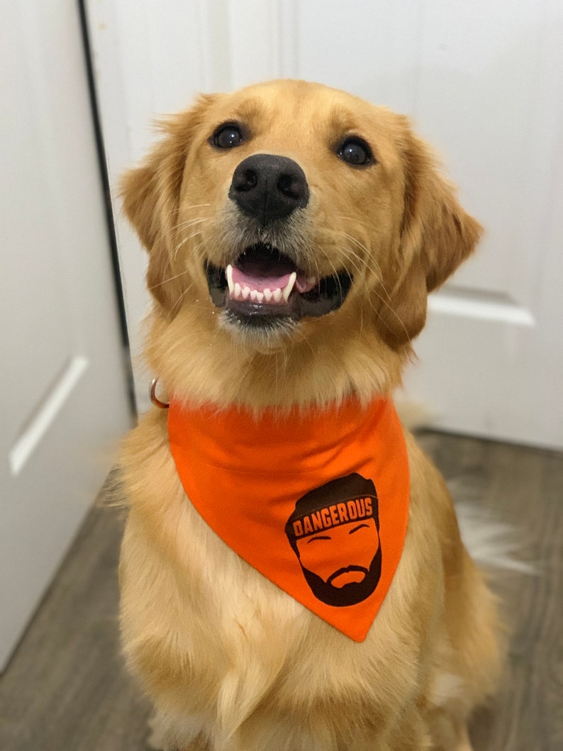 baker mayfield dog jersey