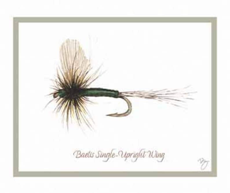 Dry Fly Fishing Note Cards Set of 12 Etsy