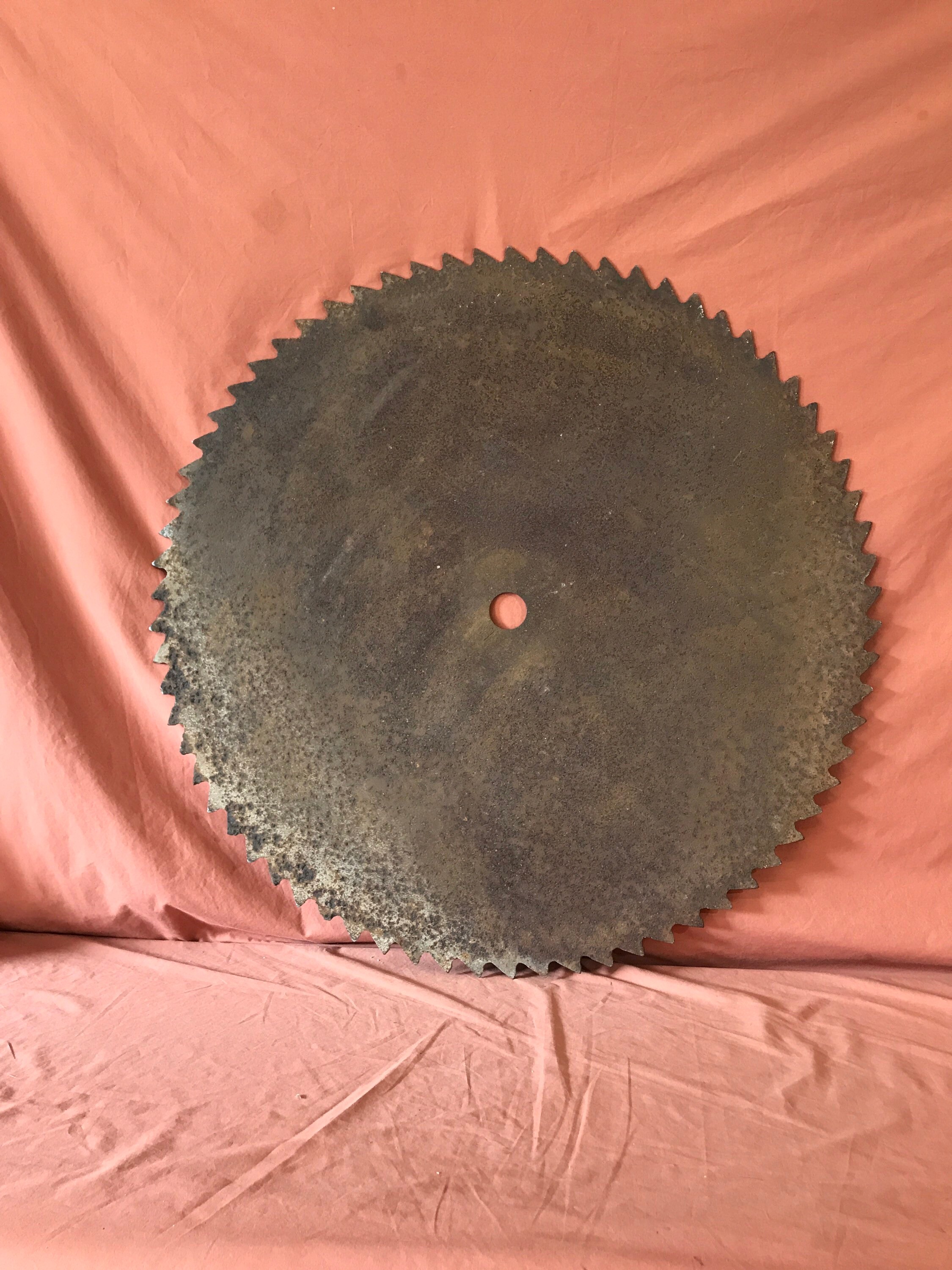 Buzz saw blade for sale sale
