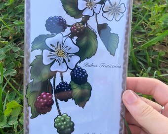 Blackberry Art Print