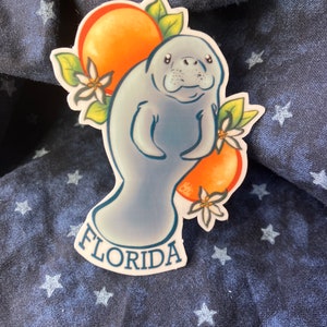 Florida Manatee