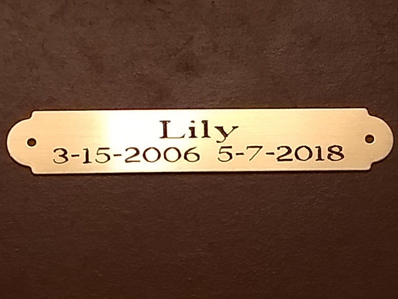 Custom Engraved Brass Memorial Plaque 3/4 x 4.5 Etsy