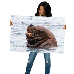 May include: A woman holds up a poster featuring a close-up of a brown and white sea lion with its mouth open, showing its teeth. The sea lion is in the water, with blue water in the background.