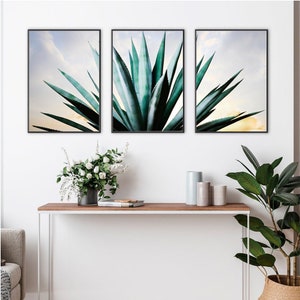 Blaue Agave Wandkunst - Landschaft Foto Outdoor Pflanzen Download & Print - Küchenposter Tequila - Kaktus Wüste Südwesten - Digitaler Download