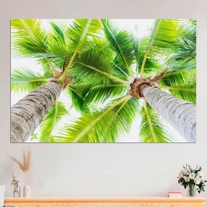 Può includere: Una vista ravvicinata di due alte palme con fronde verdi contro un cielo blu brillante. Gli alberi crescono vicini e i loro tronchi sono visibili.