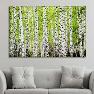 White Birch Canvas Print Wall Art, Tree Forest Large Landscape Photo, Birch Forest Print, Giant Triptych Wall Art, White Modern Art Decor