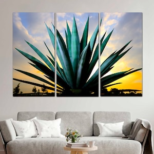 Floral Print Blue Agave wall art Mexico Nature Large Wall Art Landscape Photo Giant Triptych Art Stretched Canvas Kitchen Decor Tequila