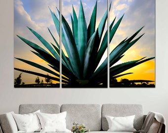Floral Print Blue Agave wall art Mexico Nature Large Wall Art Landscape Photo Giant Triptych Art Stretched Canvas Kitchen Decor Tequila