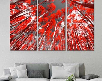 Op de afbeelding: Een driedelig canvasprint met een levendige rode en witte bos scène. De bomen zijn hoog en slank, met hun takken die naar de hemel reiken. De lucht is lichtgrijs en de zon schijnt door de bomen. De afbeelding is vanuit een lage hoek genomen, kijkend naar de bomen.