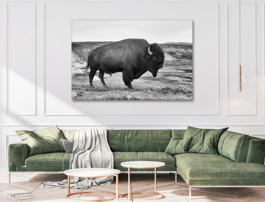 American Bison Large Canvas Prints Home Office Decor Wall Art Large ...