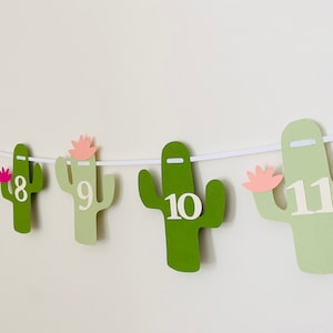 Cactus 13-Month Photo Banner: First Fiesta Birthday Decor