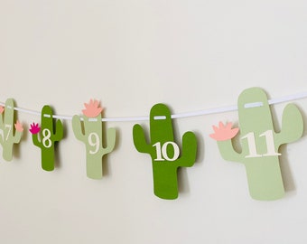 May include: Green cactus-shaped paper cutouts with white numbers 7 through 11 strung on a white string. Each cactus has a pink flower on top.