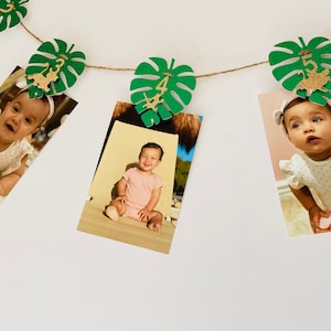 Lion King First Birthday Photo Banner: Jungle Theme Party Decor