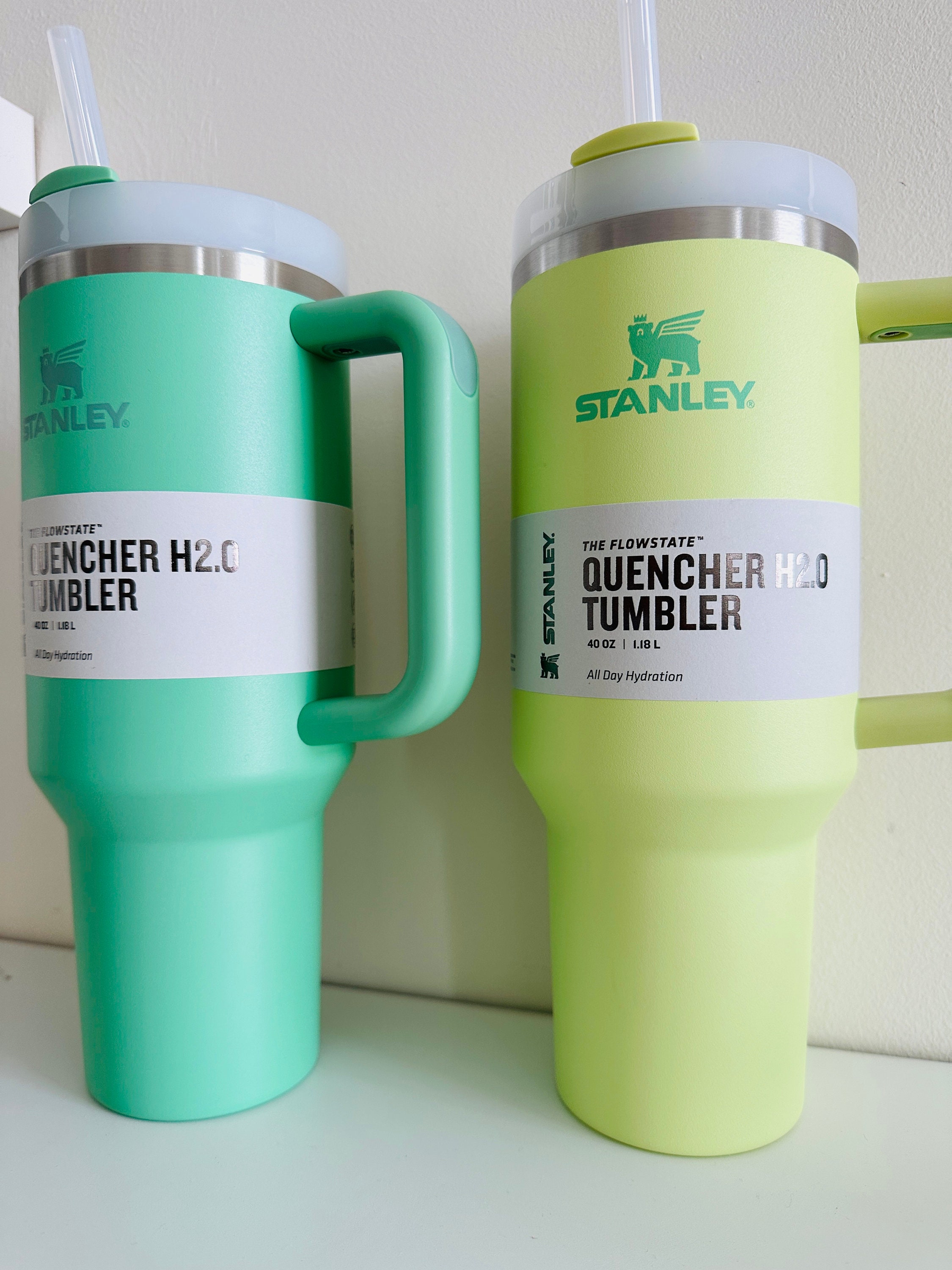 Stanley The Quencher H2.0 FlowState Tumbler 40 oz, Jade