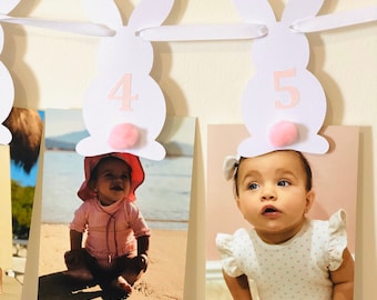 Bunny 12 Month Photo Banner: Pink Birthday Party Decor