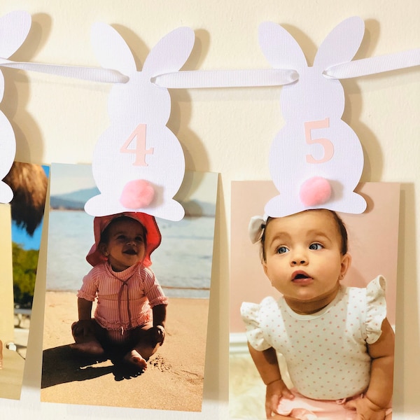 Bunny Milestone Banner, Bunny Photo banner, Bunny Birthday Party, Bunny Banner, 12 Month Photo Banner, One Year Photo Banner, Bunny Birthday