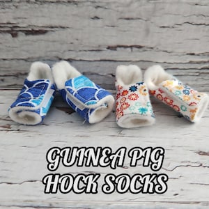 Guinea pig hock socks