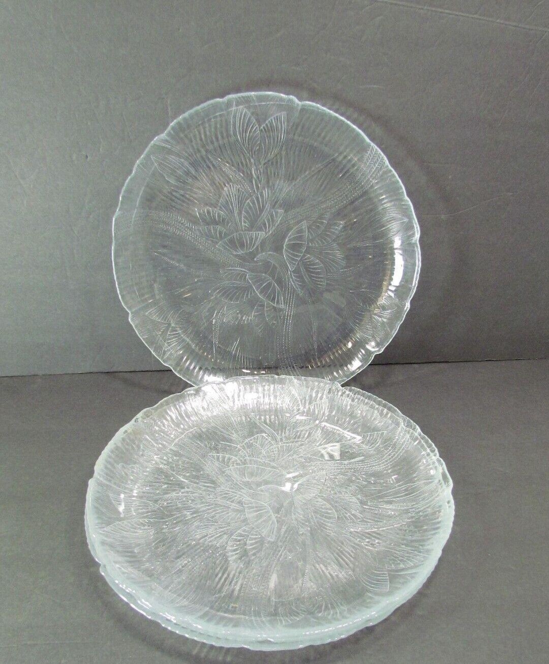 4 Arcoroc France Canterbury Crocus Dinner Plates 10.5 Clear Glass - Etsy