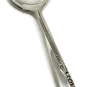 May include: A silver serving spoon with a rounded bowl and a long handle. The handle has a floral pattern along the edge. The spoon is made of a shiny, reflective metal.