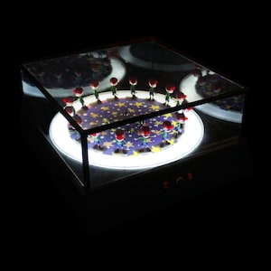 3D Zoetrop, Kinetische Skulptur, Kinetische Kunst, 3D-Skulptur, Zoetrop, Zoetrop 3D