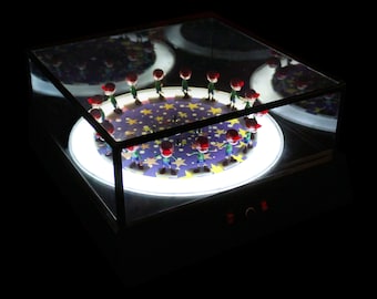 3D Zoetrope, Kinetic Sculpture, Kinetic art, 3D sculpture, zoetrope, Zoetrope 3D