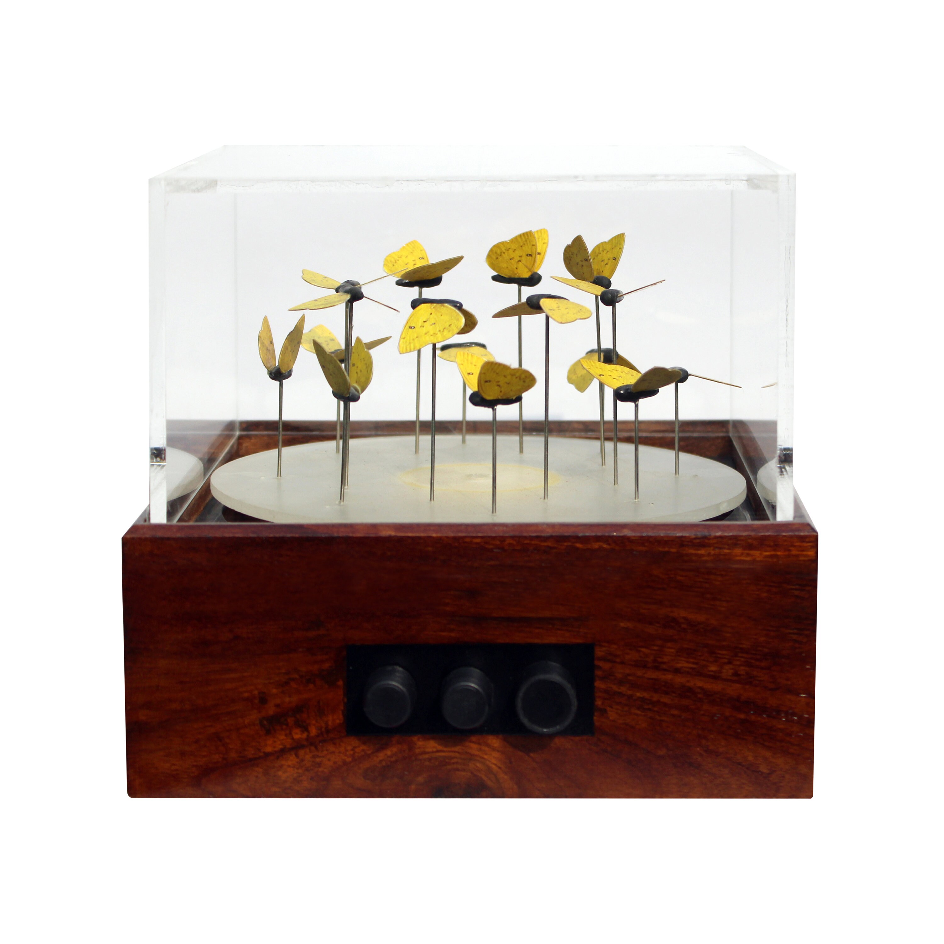 3D Zoetrope Sculpture Art Phenakistoscope Etsy UK