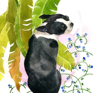Boston Terrier Aquarell, Boston Terrier Druck, Boston Terrier Kunst, Hund Kindergarten