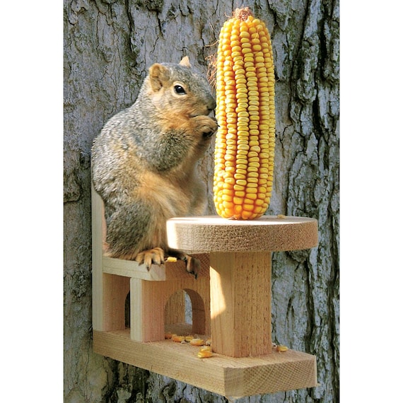 Squirrel Corn Feeder Etsy