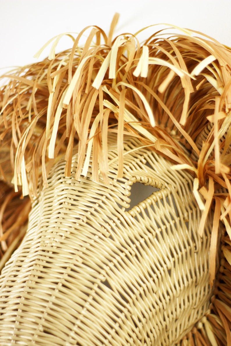 Animal Wicker Lion Wall Mounted Lion in the Playroom Etsy