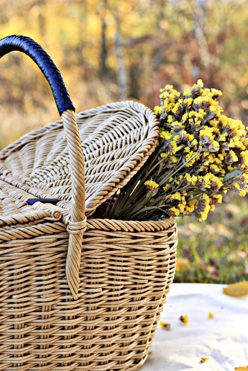 Women Picnic Baskets Picnic Basket Gift Wicker Picnic Etsy