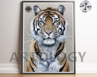 Sumatran Tiger Drawing – A4/A3 Giclée Wildlife Art Print | Big Cat Wall Art by Artology