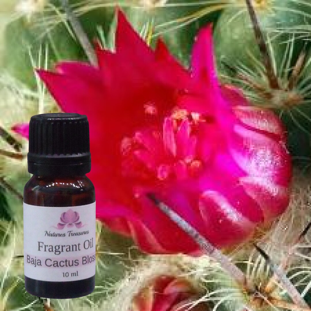 Baja Cactus Blossom Fragrance Oil Candles Soap Skin & Etsy