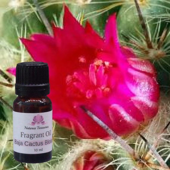 Baja Cactus Blossom Fragrance Oil - Candles - Soap - Skin & Hair Care - Etsy