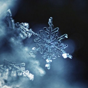 May include: A close-up of a delicate, six-pointed snowflake with intricate, symmetrical patterns. The snowflake is white and translucent, with a slight blue tint. The background is a dark blue, creating a stark contrast with the snowflake.