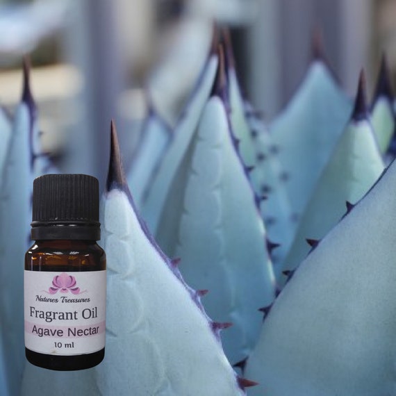 Agave Nectar Odour Neutralizing Fragrance Oil Candles Soap - Etsy Agave Nectar Odour Neutralizing Fragrance Oil Candles Soap - Etsy