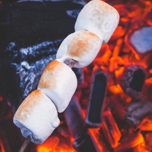 Fireside & Marshmallow Fragrance Oil - Candles - Soap - Skin - Hair Care