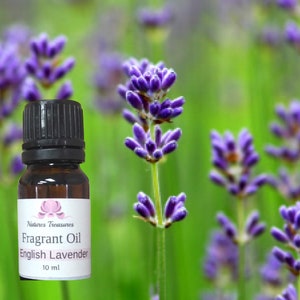 Peut inclure: Un petit flacon en verre brun avec un bouchon noir, étiqueté "Natures Treasures Fragrant Oil English Lavender 10 ml". Le flacon est devant un champ de fleurs de lavande violettes.