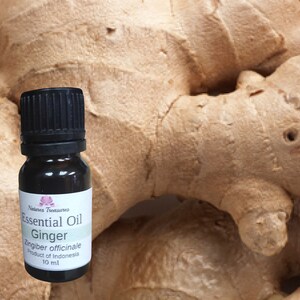 Ginger Root Essential Oil - Zingiber officinale