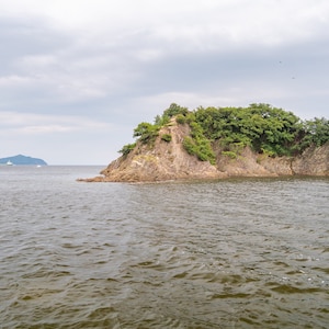 May include: A rocky island with green trees and shrubs, surrounded by calm, rippling water. The sky is overcast with a few clouds.