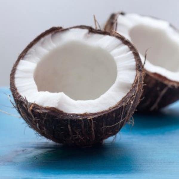 Coconut Paradise Fragrance Oil - Candles - Soap - Skin & Hair Care