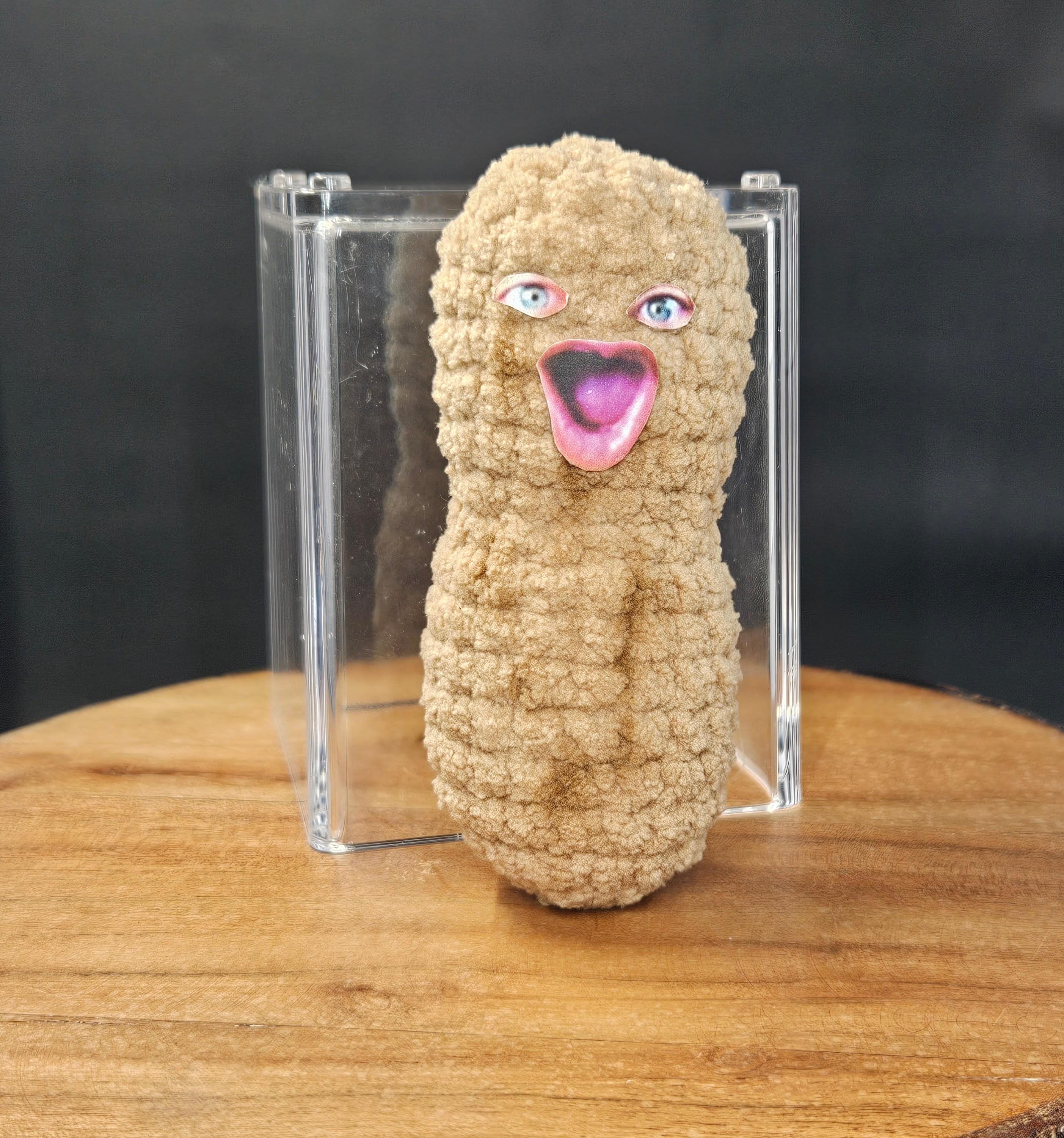 Youtuber Twitch Crochet| Burnt Peanut| Burning Nut| Arc Player