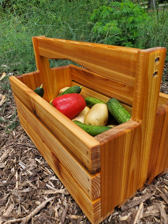 Vegetable Basket