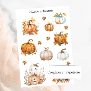Citrouilles Ensemble Autocollants ,Pumpkin kit fall,Planification quotidienne,Journalisation